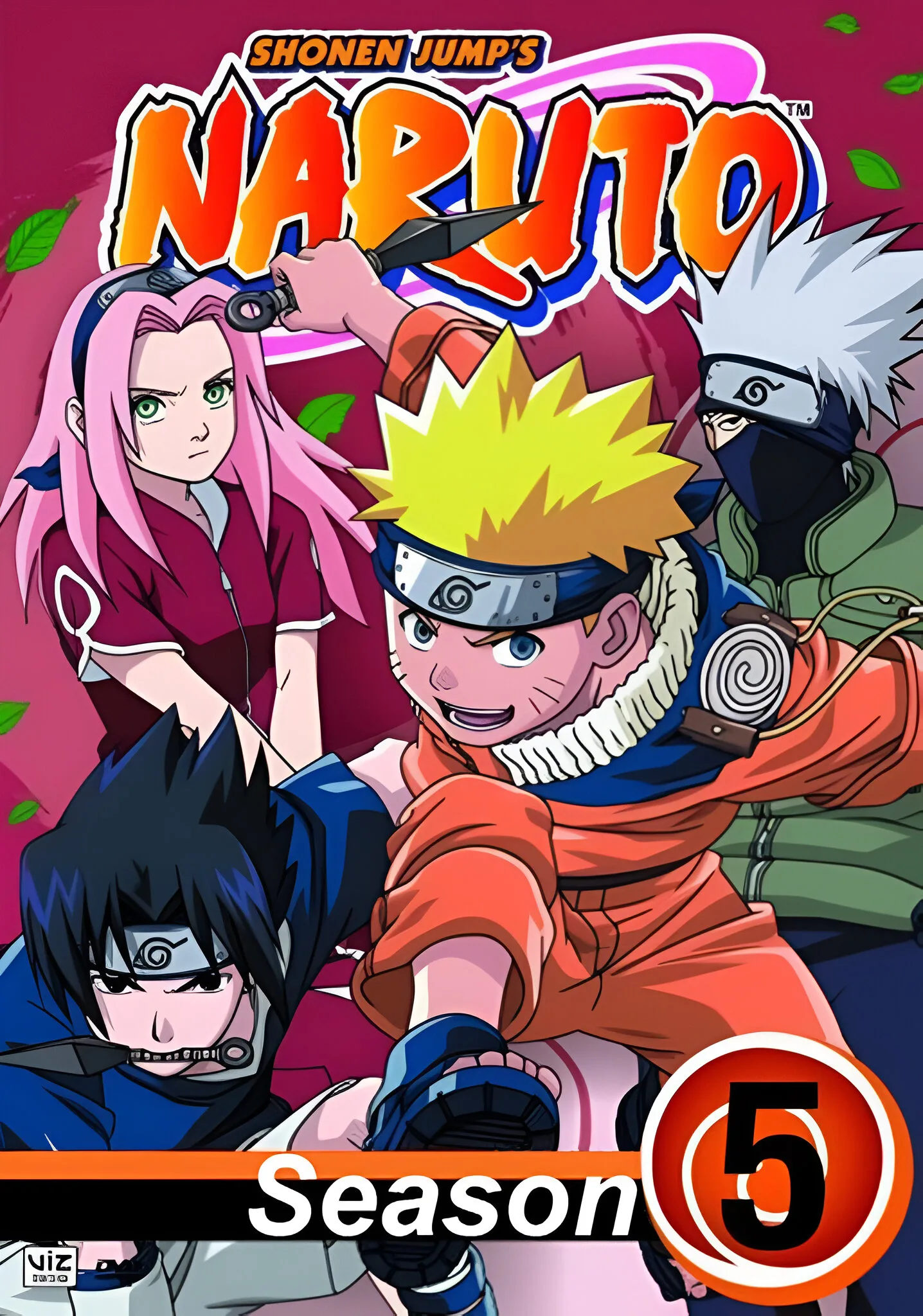Naruto Season 5 Naruto-Season-5-Episodes-Hindi